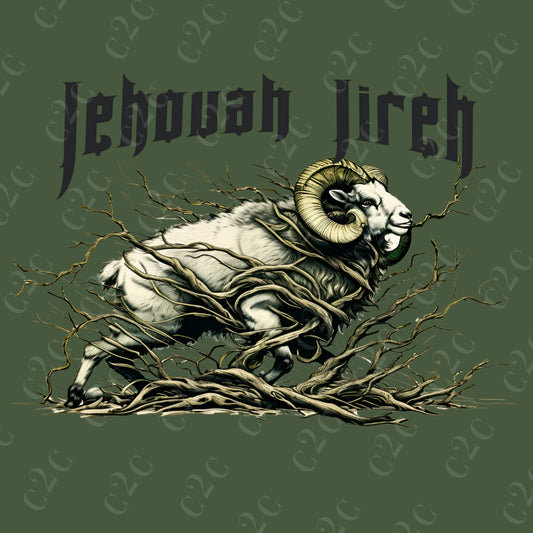 Jehovah Jireh The Lord Will Provide Hoodie